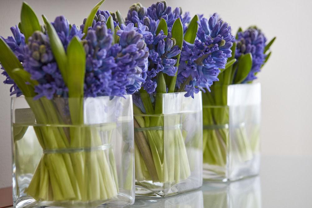 Plaza On The River 런던 외부 사진 Hyacinth